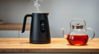 top electric kettles precise temperature