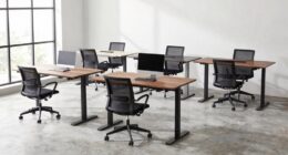 affordable standing desk options