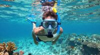 top beginner snorkeling gear