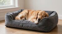 top orthopedic dog beds