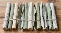 top sage smudge stick selections