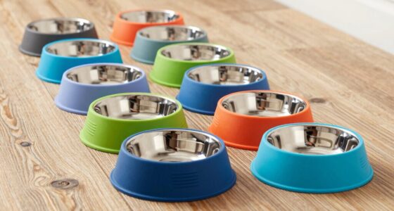 top slow feeder dog bowls