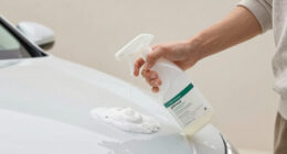 10 Best Car Wash Soaps pH Neutral in 2026