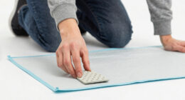 10 Best Puppy Training Pads Odor‑Free in 2026