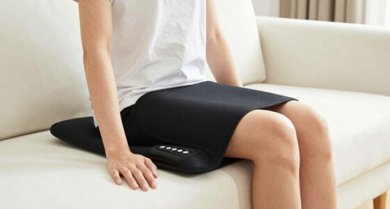 10 Best Shiatsu Kneading Seat Portable in 2026