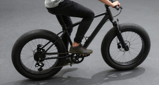 11 Best Fat Tire Electric Bike for Comfort in 2026