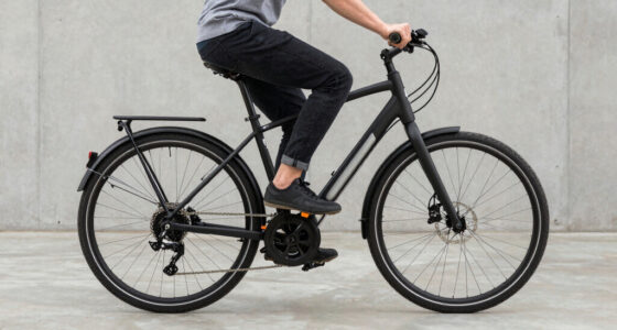 11 Best Step Through Electric Bike in 2026