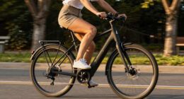 12 Best Long Range Electric Bike for Adults in 2026