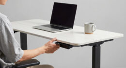 13 Best Electric L Shaped Standing Desk in 2026