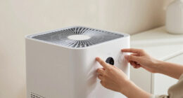 7 Best Air Purifier for Cleaner Indoor Air in 2026