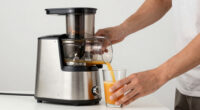 7 Best Whole Slow Juicer in 2026