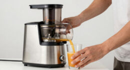7 Best Whole Slow Juicer in 2026
