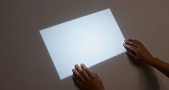 8 Best Ambient Light Rejecting Projector Screen in 2026