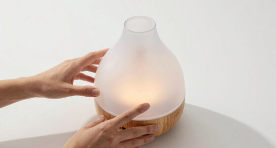 9 Best Essential Oil Diffusers Large Room in 2026 — Spacious & Effective Aromatherapy