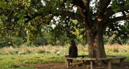 cultivate mindful respect daily