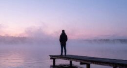 learning during the pause