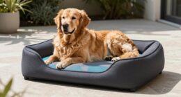 Top 15 Sommer-Hundekühlbetten