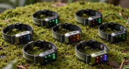 Top-Hundetracker für die Jagd