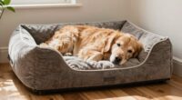 Top orthopädische Hundebetten