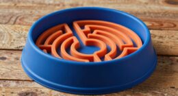 Top langsame Futternäpfe