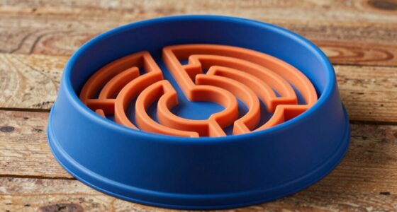 Top langsame Futternäpfe