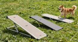 obere teleskopierende Hundestufen