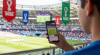 14 Best FIFA World Cup 2026 Decorations in 2026